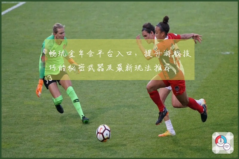 畅玩金年会平台入口，提升游戏技巧的秘密武器及最新玩法推荐