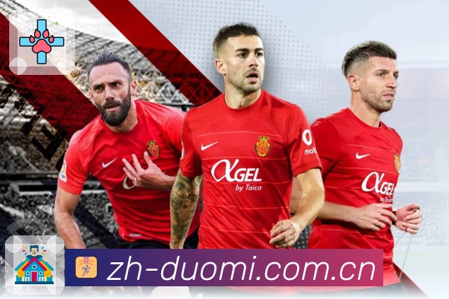 多米体育活动图